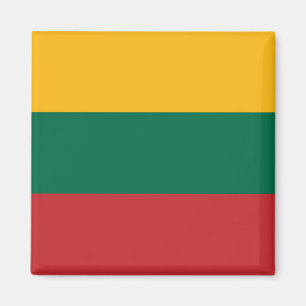 Imã Bandeira da Lituânia
