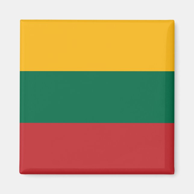 Imã Bandeira da Lituânia (Frente)