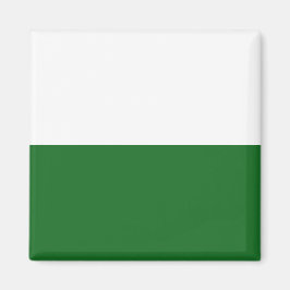 Imã Bandeira da Saxónia (Estado alemão)