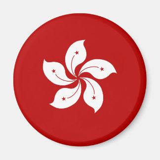 Imã Bandeira de alta qualidade de Hong Kong