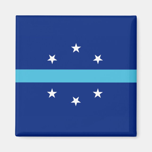 Imã Bandeira de Anaheim (Califórnia, EUA) (Frente)