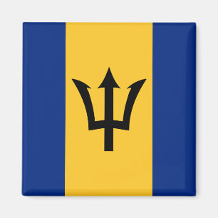 Imã Bandeira de Barbados