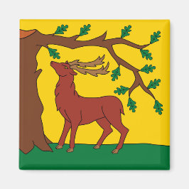 Imã Bandeira de Berkshire (Reino Unido)