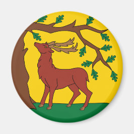 Imã Bandeira de Berkshire (Reino Unido)