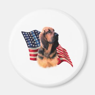 Imã Bandeira de Bloodhound