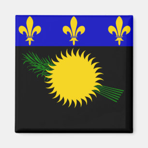 Imã Bandeira de Guadalupe