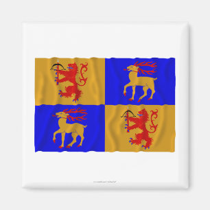 Imã Bandeira de ondulação do län de Kalmar