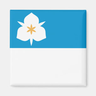 Imã Bandeira de Salt Lake City (Utah)