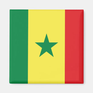 Imã Bandeira de Senegal