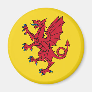 Imã Bandeira de Somerset Magnet
