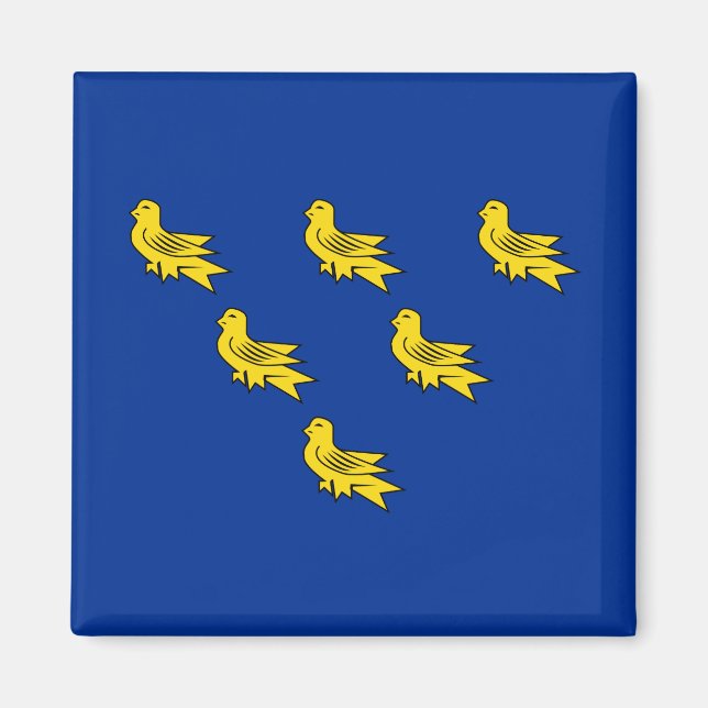 Imã Bandeira de Sussex (Frente)