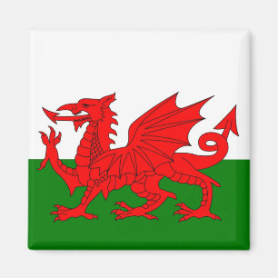 Imã Bandeira de Wales