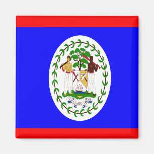 Imã Bandeira do Belize