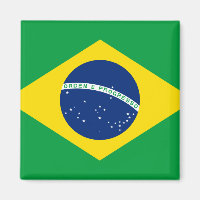 Bandeira do Brasil (brasileiro)