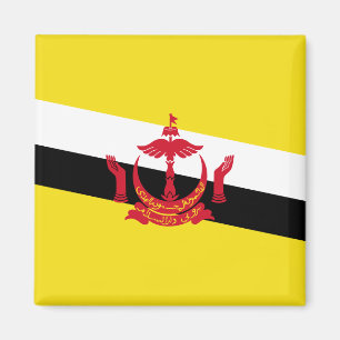 Imã Bandeira do Brunei