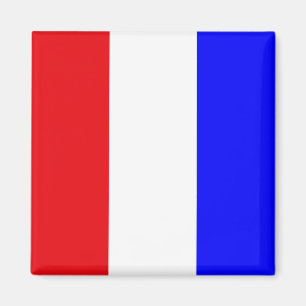 Imã Bandeira do Código de Sinais "T" (Tango)