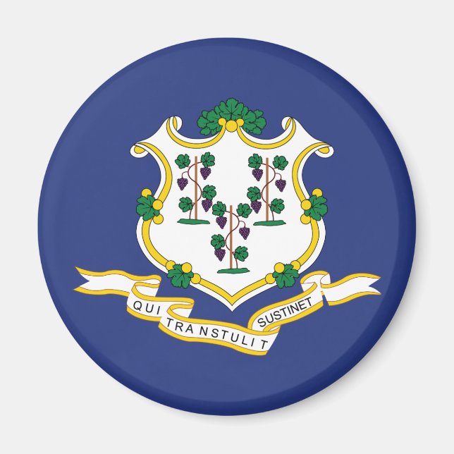 Imã Bandeira do Estado de Connecticut (Frente)