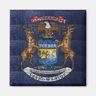 Imã Bandeira do Estado do Michigan em Placas de Licenç