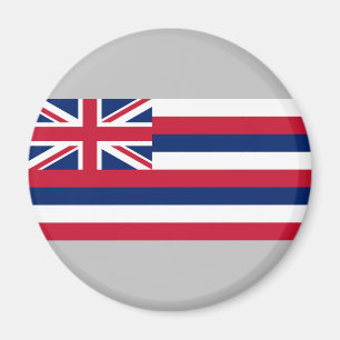 Imã Bandeira do Havaí (Estado dos EUA)