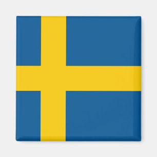 Imã Bandeira do ímã da suecia