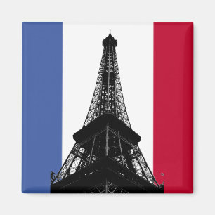 Imã Bandeira do ímã de France