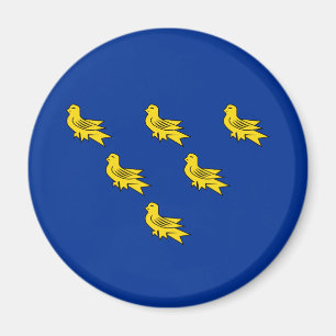 Imã Bandeira do ímã Sussex