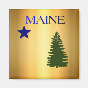 Imã Bandeira do Maine (1901)