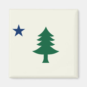 Imã Bandeira do Maine de 1901