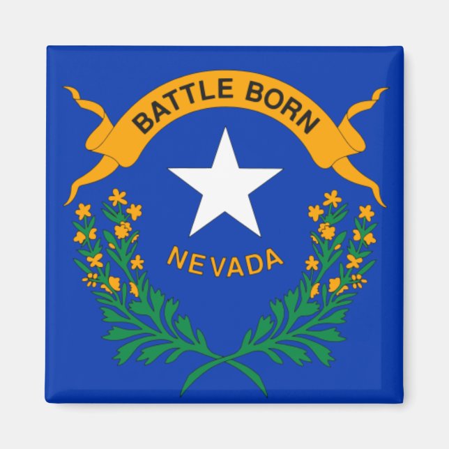 Imã Bandeira do Nevada (pormenores) (Frente)