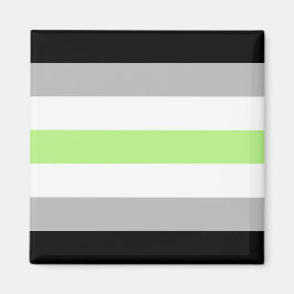 Imã Bandeira do Orgulho Agênero – Identidade Agênero L