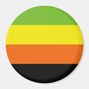 Imã Bandeira do Orgulho Aromântico
