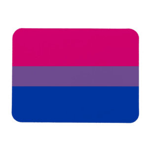 Ímã Bandeira do Orgulho Bissexual
