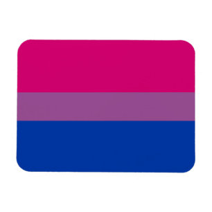 Ímã Bandeira do Orgulho Bissexual