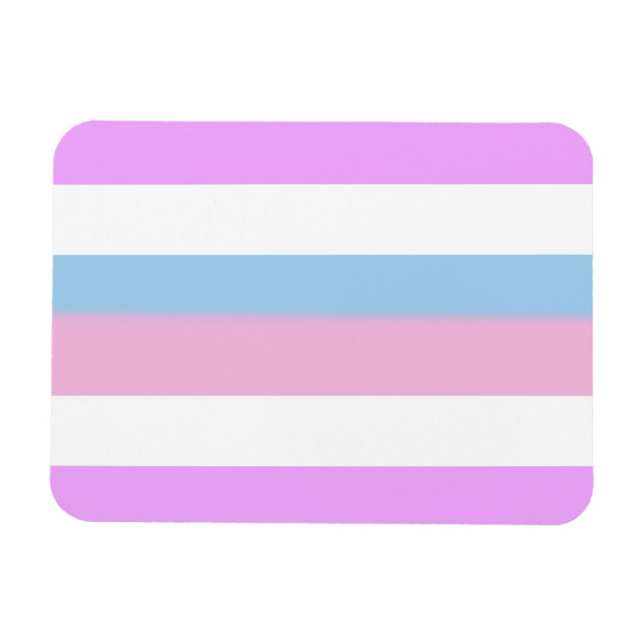 Ímã Bandeira do Orgulho Intersexo (Horizontal)