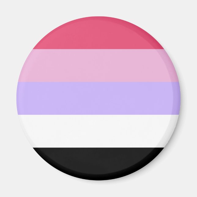 Imã Bandeira do Orgulho Reciprosexual (Frente)