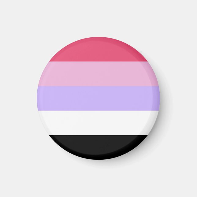 Imã Bandeira do Orgulho Reciprosexual (Frente)