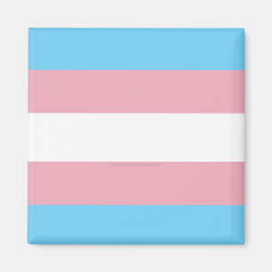 Imã bandeira do orgulho transgênero da diversidade Sli