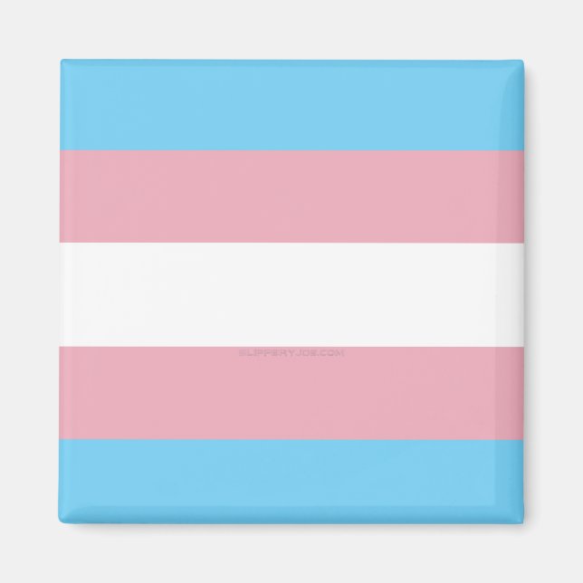 Imã bandeira do orgulho transgênero da diversidade Sli (Frente)