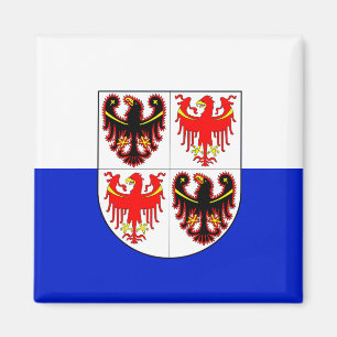 Imã Bandeira do Trentino-Alto Adige (Itália)