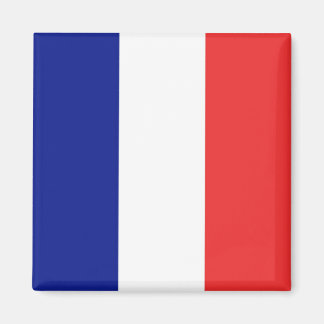 Imã Bandeira do Tricolore Francês
