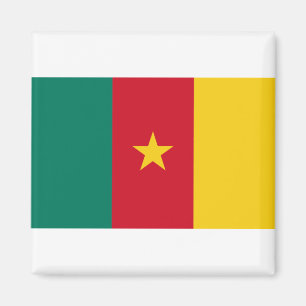 Imã Bandeira dos Camarões