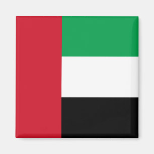 Imã Bandeira dos United Arab Emirates