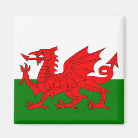 Bandeira galesa Dragão vermelho galês