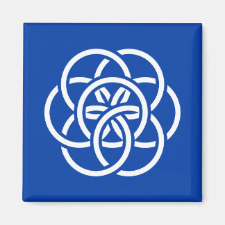 Imã Bandeira Internacional do Planeta Terra