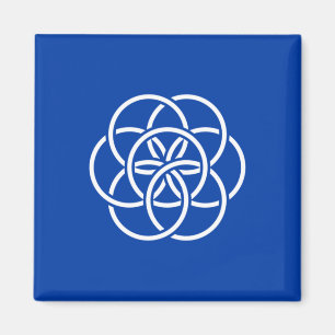 Imã Bandeira Internacional do Planeta Terra