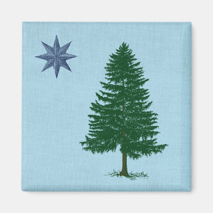 Imã Bandeira Maine 1901