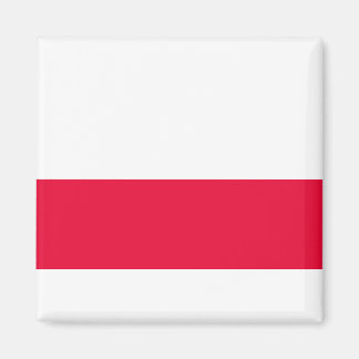 Imã Bandeira Nacional da Polônia - Rzeczpospolita Pols