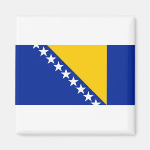 Imã Bandeira nacional do mundo de Bósnia e de