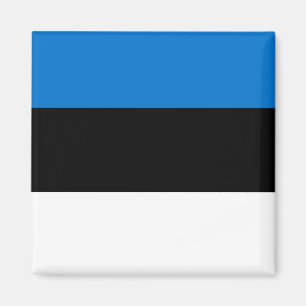 Imã Bandeira nacional do mundo de Estónia