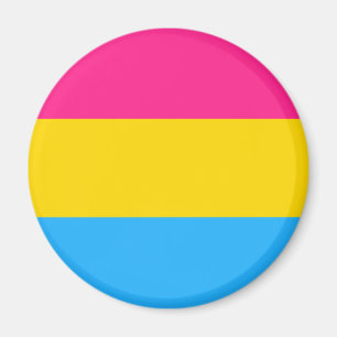Imã Bandeira Pansexual